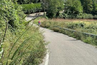 Il Comune finanzia un nuovo giro di sfalci prima dell'inverno