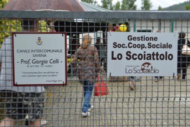 Canile Savena di Loiano