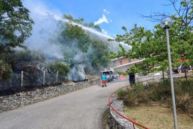 Inizio di incendio in pineta domato dai Vigili del Fuoco e Protezione Civile