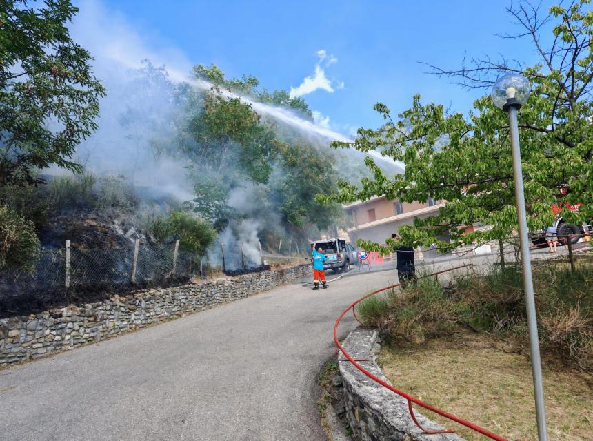 Inizio di incendio in pineta domato dai Vigili del Fuoco e Protezione Civile